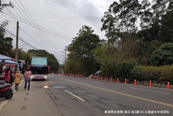 【苗栗/南庄】蘇維拉莊園餐廳附屬落羽松景點