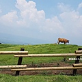 2018/07 九州/熊本 前往阿蘇火山口