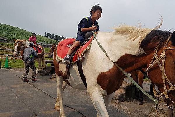 2018/07 九州/熊本 草千里騎馬