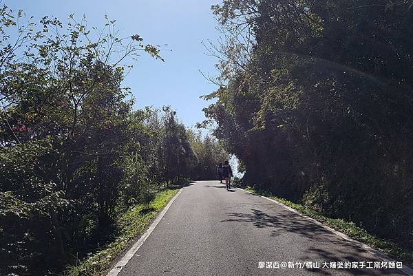 【新竹/橫山】大嬸婆的家手工窯烤麵包