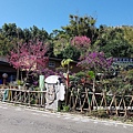 【新竹/橫山】大嬸婆的家手工窯烤麵包