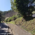 【新竹/橫山】大嬸婆的家手工窯烤麵包