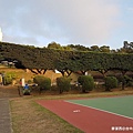 【台中/大甲】鐵砧山風景區