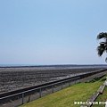 2018/07 九州/宮崎 前往摩艾公園路上的風景