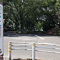 2018/07 九州/鹿兒島 城山公園