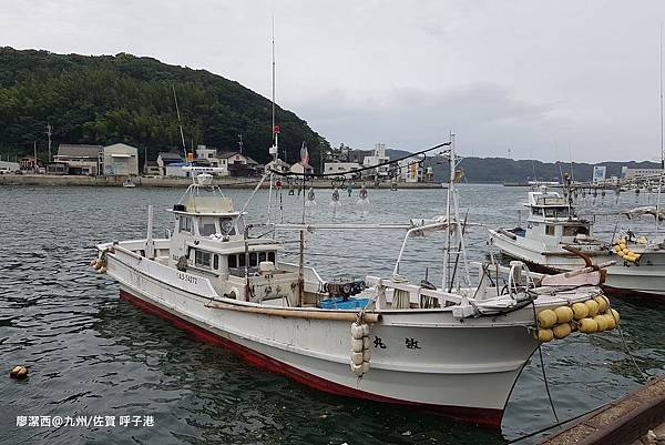 2018/07 九州/佐賀 呼子港