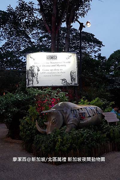 2018/08 新加坡/北區萬禮 新加坡夜間動物園