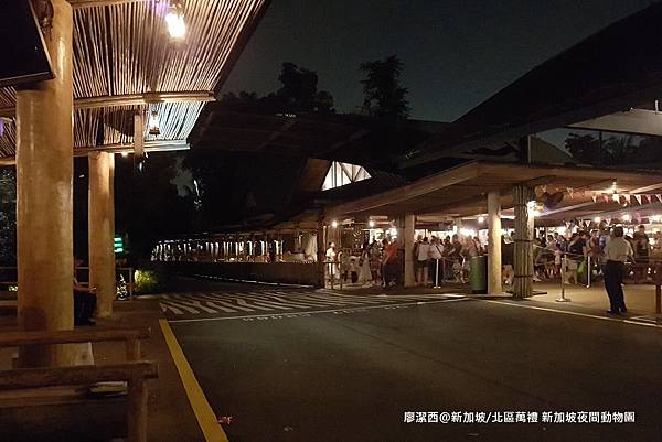 2018/08 新加坡/北區萬禮 新加坡夜間動物園