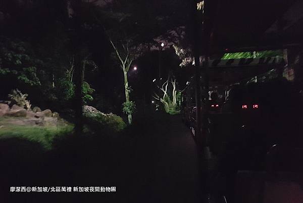 2018/08 新加坡/北區萬禮 新加坡夜間動物園