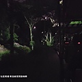 2018/08 新加坡/北區萬禮 新加坡夜間動物園