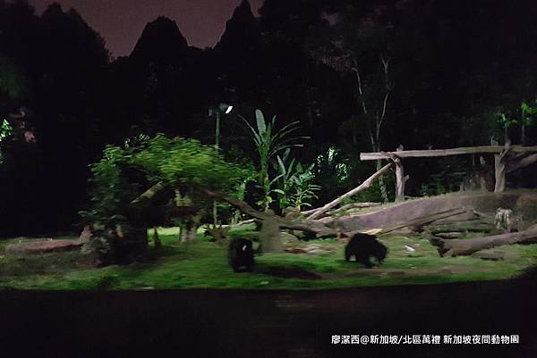 2018/08 新加坡/北區萬禮 新加坡夜間動物園