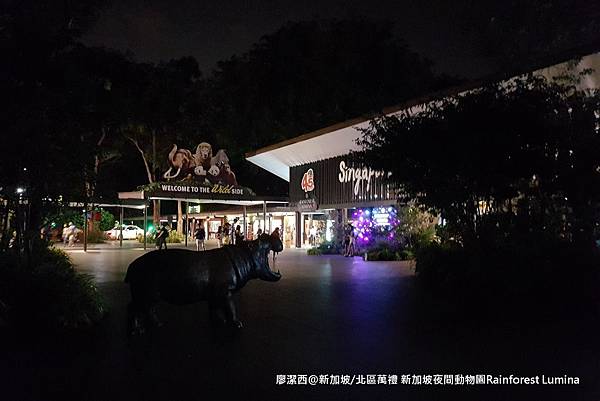 帶孩子去玩新加坡9 新加坡夜間動物園-->幻光雨林Rainforest Lumina