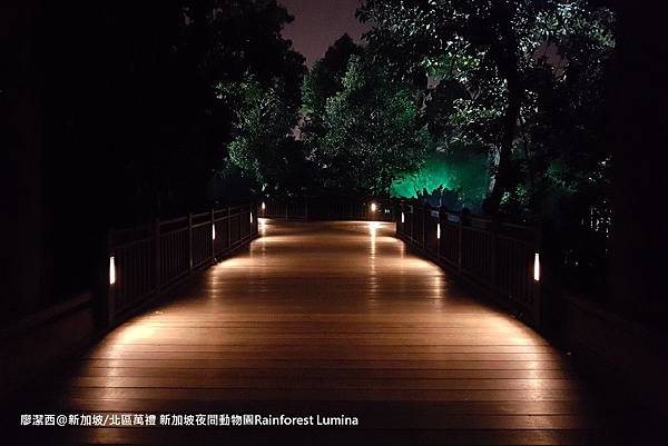 2018/08 新加坡/北區萬禮 新加坡夜間動物園Rainforest Lumina