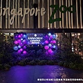 2018/08 新加坡/新加坡/北區萬禮 新加坡夜間動物園Rainforest Lumina