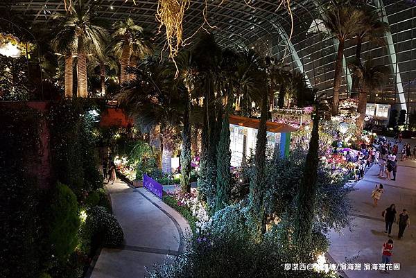2018/08 新加坡/濱海灣 濱海灣花園