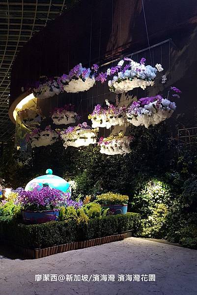 2018/08 新加坡/濱海灣 濱海灣花園