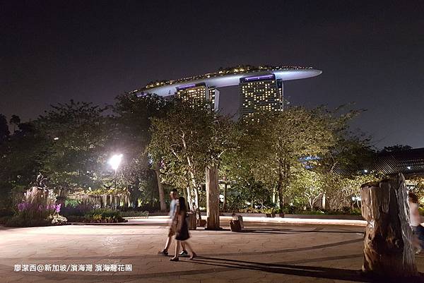 2018/08 新加坡/濱海灣 濱海灣花園