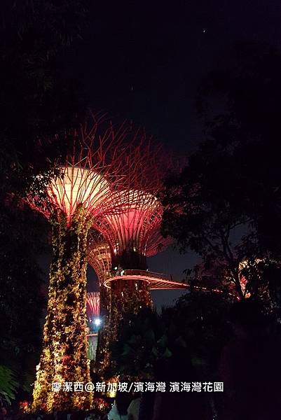 2018/08 新加坡/濱海灣 濱海灣花園