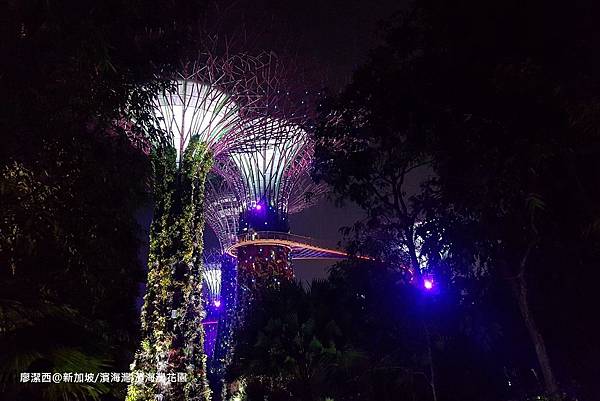 2018/08 新加坡/濱海灣 濱海灣花園