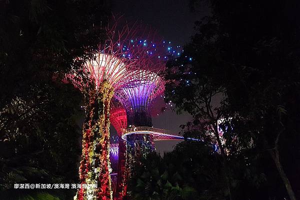 2018/08 新加坡/濱海灣 濱海灣花園