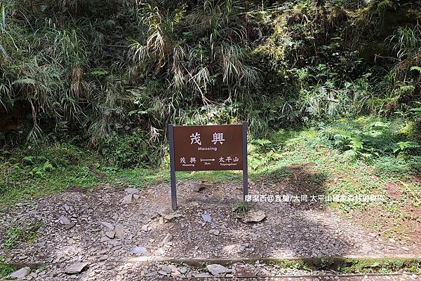 【宜蘭/大同】太平山國家森林遊樂區