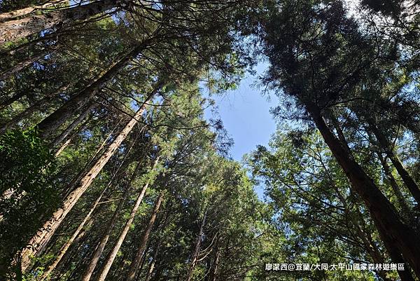 【宜蘭/大同】太平山國家森林遊樂區