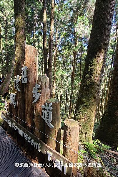 【宜蘭/大同】太平山國家森林遊樂區