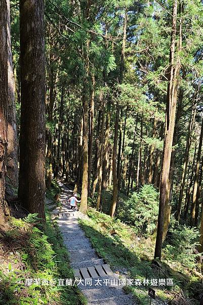 【宜蘭/大同】太平山國家森林遊樂區