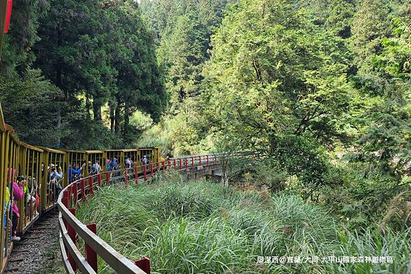 【宜蘭/大同】太平山國家森林遊樂區