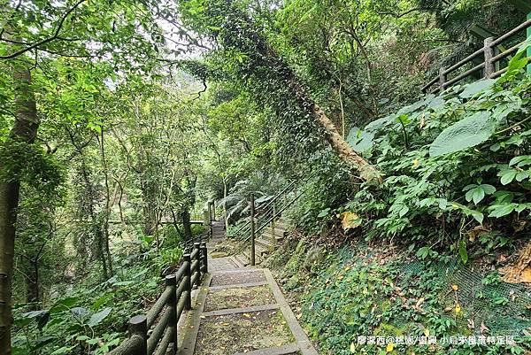 【桃園/復興】小烏來風景特定區