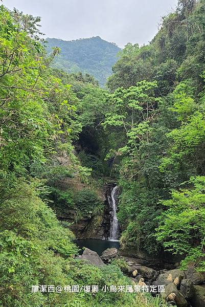 【桃園/復興】小烏來風景特定區