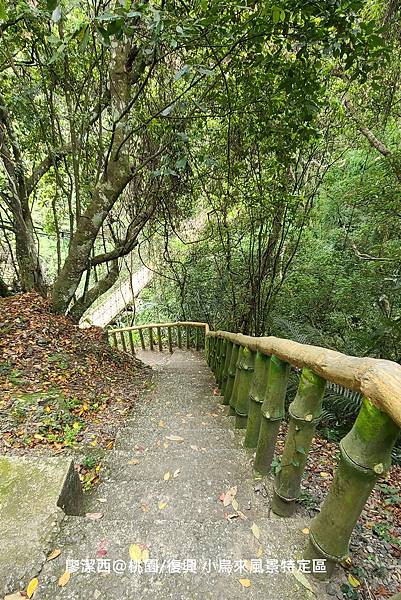 【桃園/復興】小烏來風景特定區