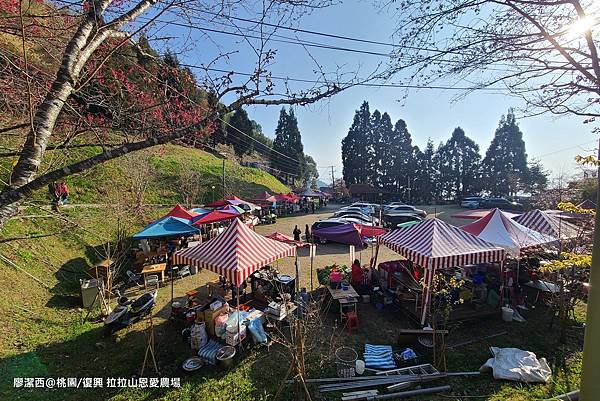 【桃園/復興】拉拉山恩愛農場