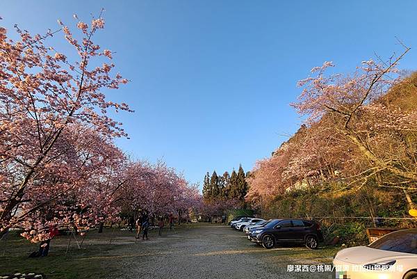 【桃園/復興】拉拉山恩愛農場