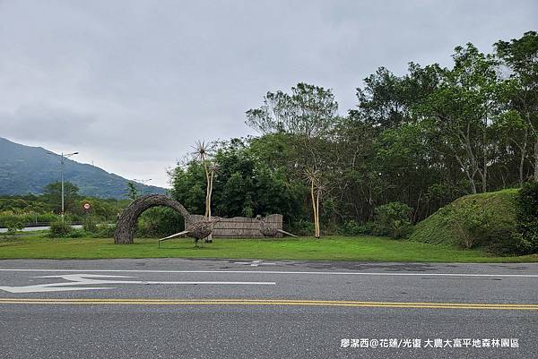 【花蓮/光復】大農大富平地森林園區