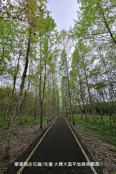 【花蓮/光復】大農大富平地森林園區