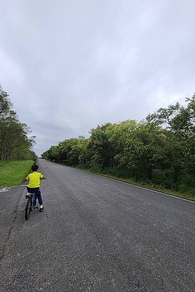 【花蓮/光復】大農大富平地森林園區