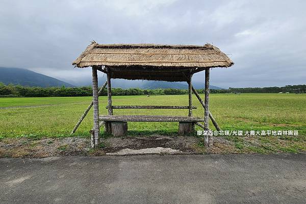 【花蓮/光復】大農大富平地森林園區