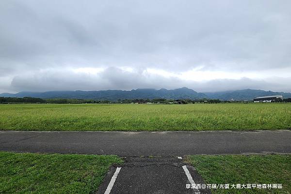 【花蓮/光復】大農大富平地森林園區