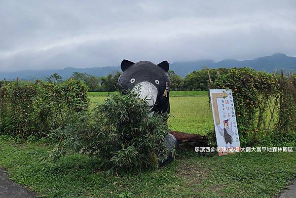 【花蓮/光復】大農大富平地森林園區