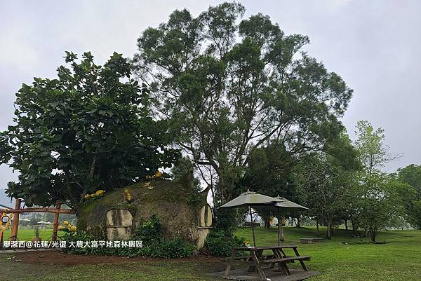 【花蓮/光復】大農大富平地森林園區