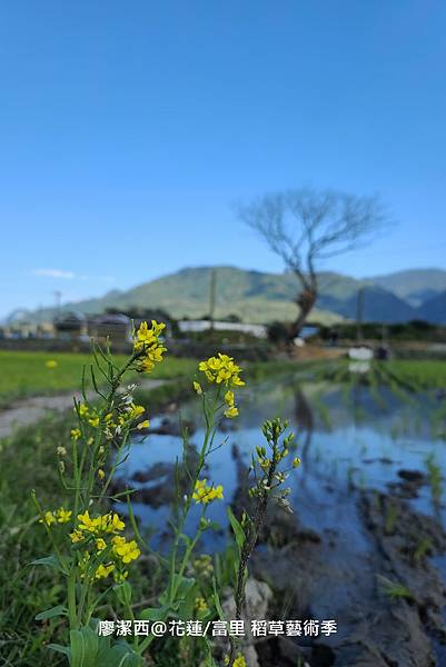 【花蓮/富里】2021第二屆稻草藝術季