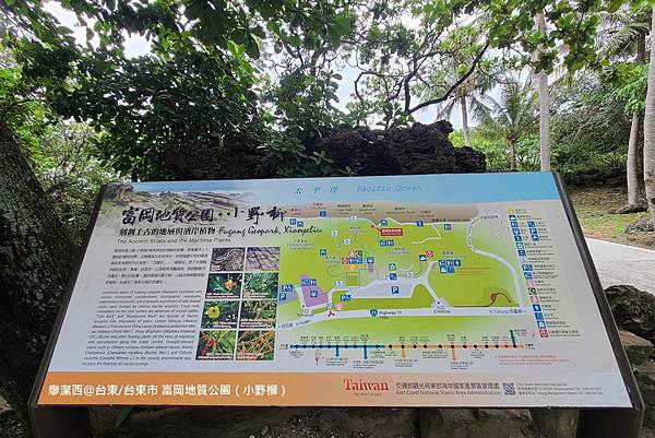 【台東/台東市】富岡地質公園（小野柳）