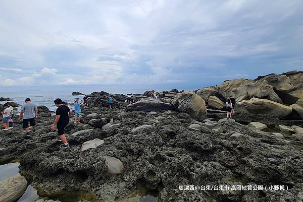 【台東/台東市】富岡地質公園（小野柳）