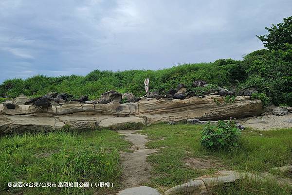 【台東/台東市】富岡地質公園（小野柳）