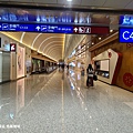 台灣/桃園 桃園機場