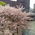 20160409_094314.jpg