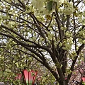 20160409_095501.jpg