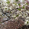 20160409_104004.jpg