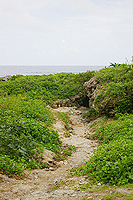 通往野銀冷泉的路